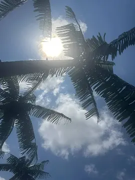 2026-06-12_16-12-57_1781291593.jpg